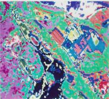 Forest Damage Classification (Airborne Images)